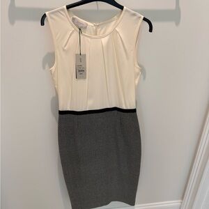 Elegant Cream and Black Midi Dress